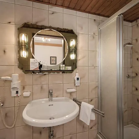 ホテル アルピナ テルメンホテルズ ガシュタイン 4*