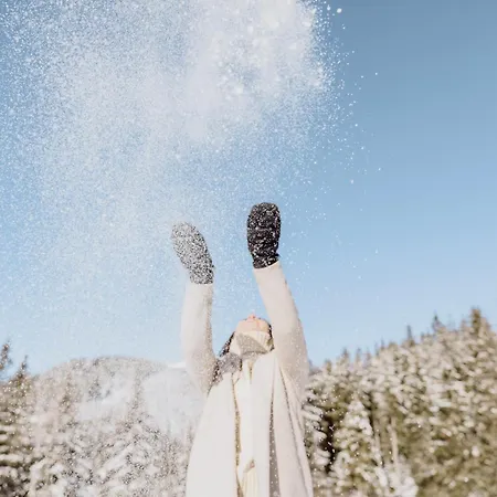 アルピナ テルメンホテルズ ガシュタイン